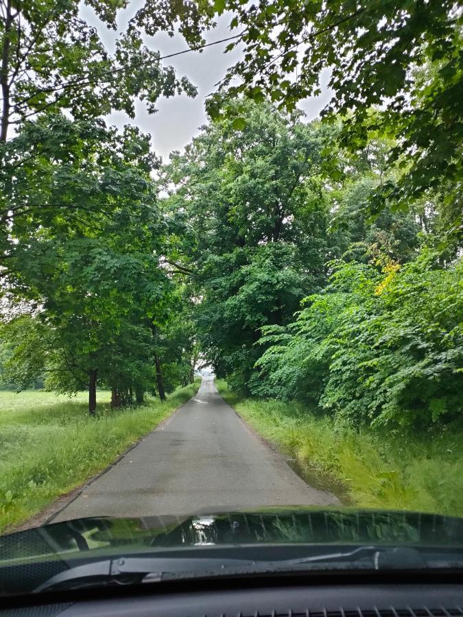 Domki I Pokoje U Borsa Леско Экстерьер фото