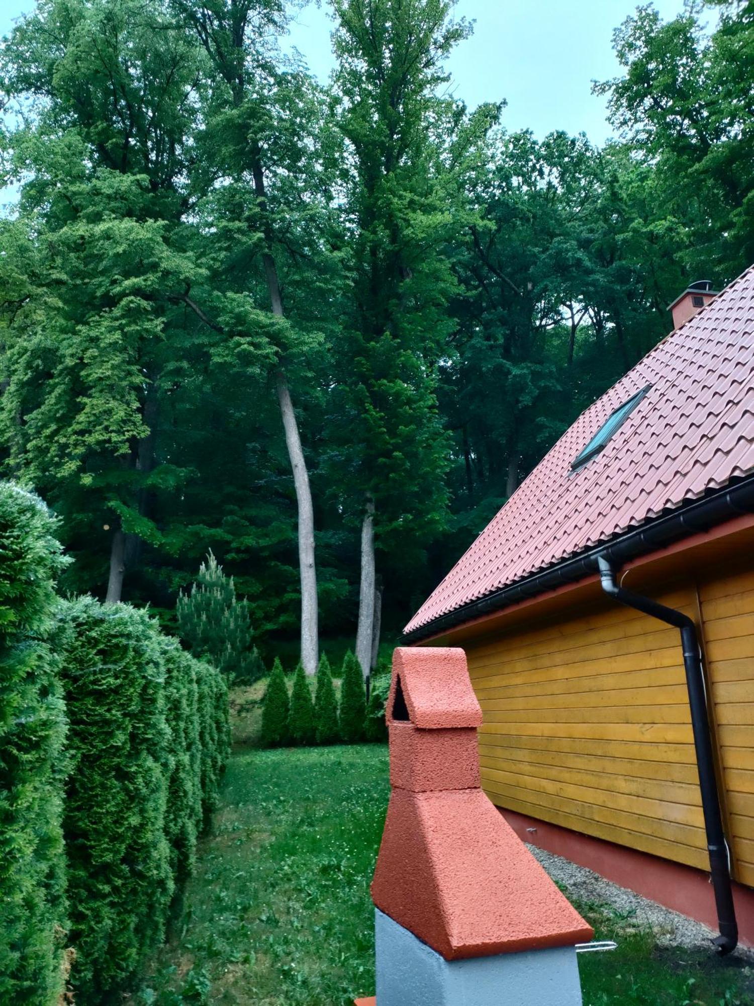 Domki I Pokoje U Borsa Леско Номер фото